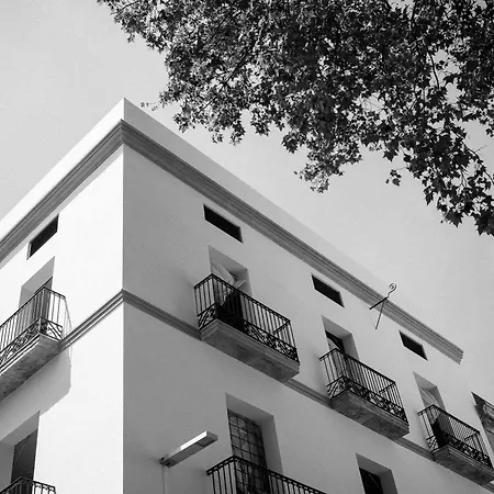 Sonder La Casa Del Sol Hotel Barcelona